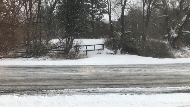 A snow covered landscape of the side of a road, with tall trees lining a snow covered path on the other side.
