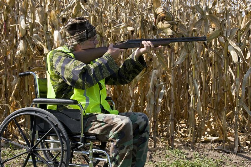 A man in a wheelchair bird hunting with a shotgun in a corn field.